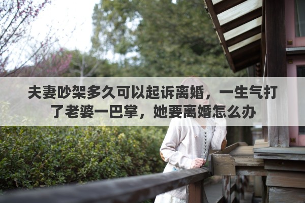 夫妻吵架多久可以起诉离婚，一生气打了老婆一巴掌，她要离婚怎么办