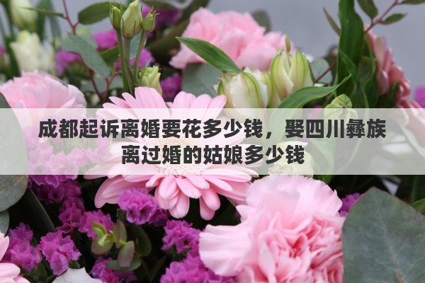 成都起诉离婚要花多少钱，娶四川彝族离过婚的姑娘多少钱