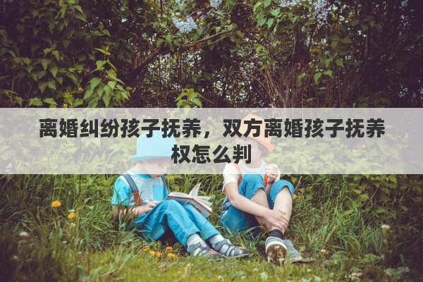 离婚纠纷孩子抚养，双方离婚孩子抚养权怎么判