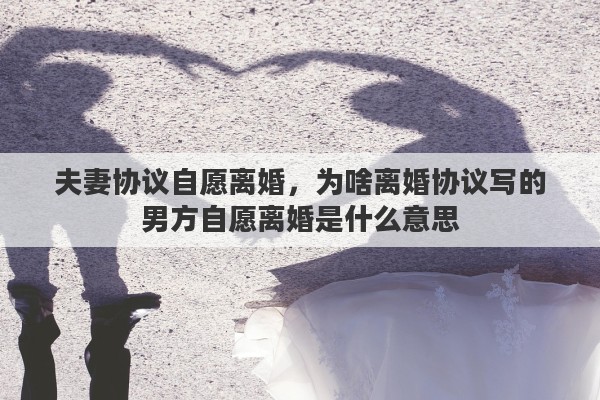 夫妻协议自愿离婚，为啥离婚协议写的男方自愿离婚是什么意思