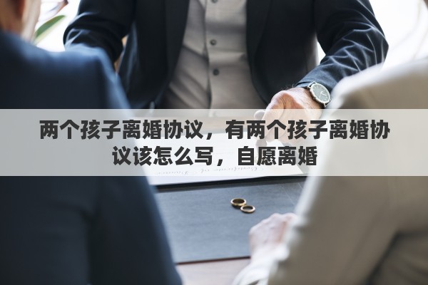 两个孩子离婚协议，有两个孩子离婚协议该怎么写，自愿离婚