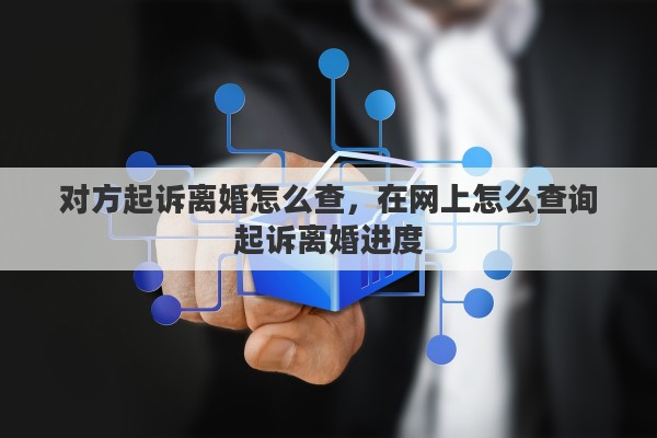 对方起诉离婚怎么查，在网上怎么查询起诉离婚进度