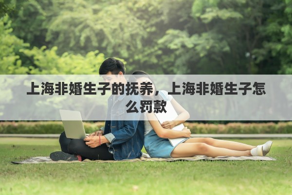 上海非婚生子的抚养，上海非婚生子怎么罚款