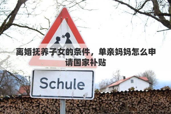 离婚抚养子女的条件，单亲妈妈怎么申请国家补贴