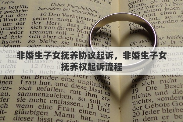 非婚生子女抚养协议起诉，非婚生子女抚养权起诉流程