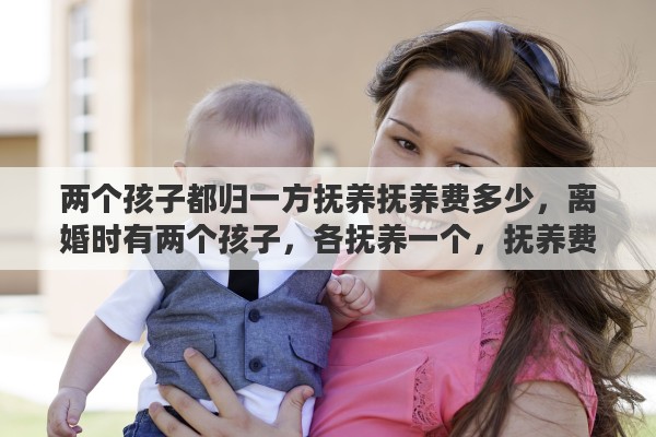 两个孩子都归一方抚养抚养费多少，离婚时有两个孩子，各抚养一个，抚养费如何支付