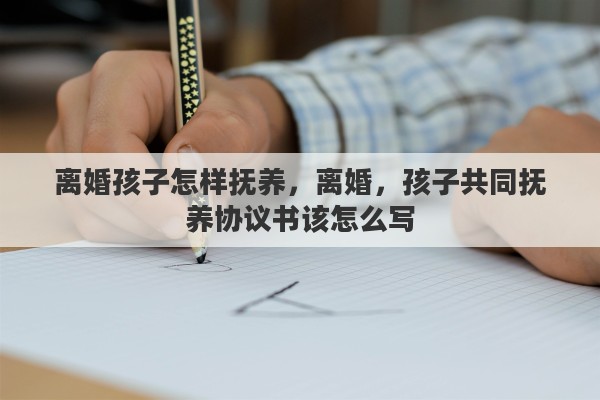 离婚孩子怎样抚养，离婚，孩子共同抚养协议书该怎么写