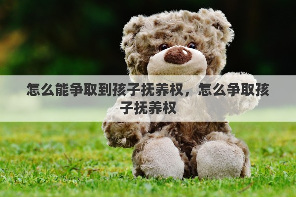 怎么能争取到孩子抚养权，怎么争取孩子抚养权