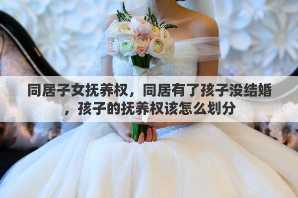 同居子女抚养权，同居有了孩子没结婚，孩子的抚养权该怎么划分