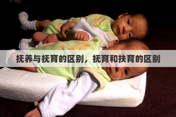 抚养与抚育的区别，抚育和扶育的区别