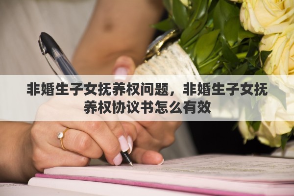 非婚生子女抚养权问题，非婚生子女抚养权协议书怎么有效