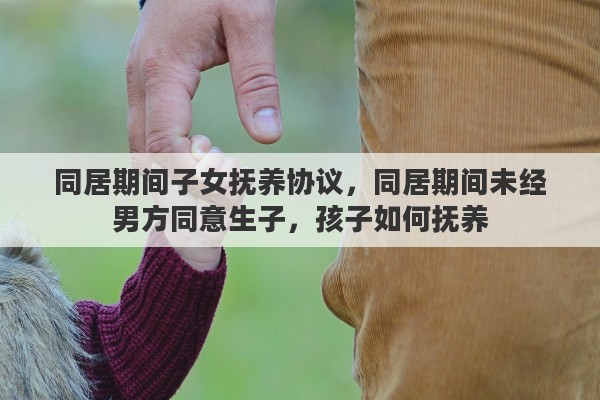 同居期间子女抚养协议，同居期间未经男方同意生子，孩子如何抚养