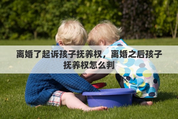 离婚了起诉孩子抚养权，离婚之后孩子抚养权怎么判