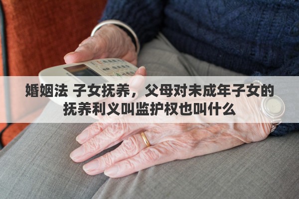婚姻法 子女抚养，父母对未成年子女的抚养利义叫监护权也叫什么