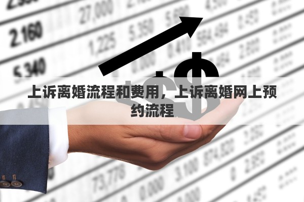 上诉离婚流程和费用，上诉离婚网上预约流程