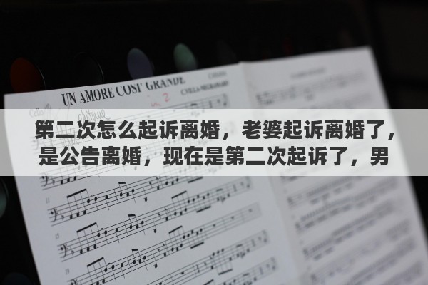 第二次怎么起诉离婚，老婆起诉离婚了，是公告离婚，现在是第二次起诉了，男方该怎么应诉呢