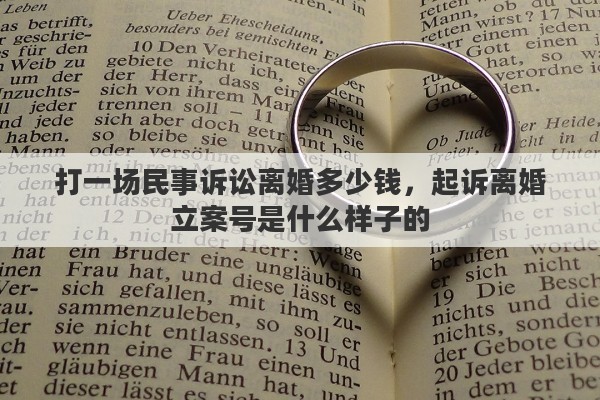 打一场民事诉讼离婚多少钱，起诉离婚立案号是什么样子的