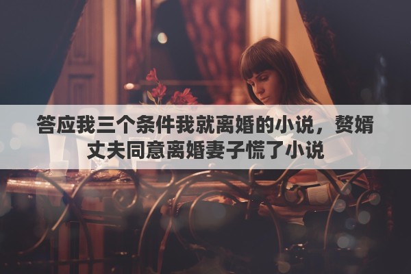 答应我三个条件我就离婚的小说，赘婿丈夫同意离婚妻子慌了小说