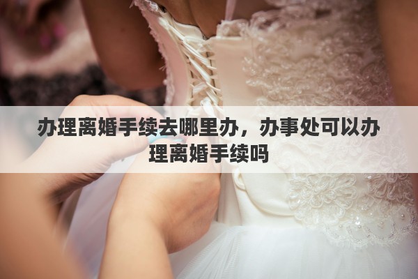 办理离婚手续去哪里办，办事处可以办理离婚手续吗