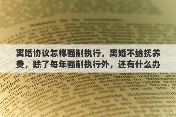 离婚协议怎样强制执行，离婚不给抚养费，除了每年强制执行外，还有什么办法