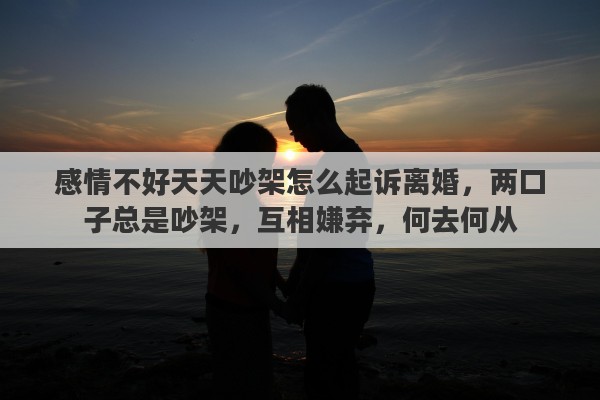 感情不好天天吵架怎么起诉离婚，两口子总是吵架，互相嫌弃，何去何从