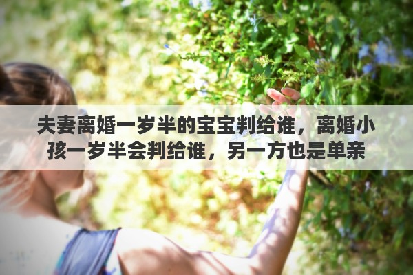 夫妻离婚一岁半的宝宝判给谁，离婚小孩一岁半会判给谁，另一方也是单亲