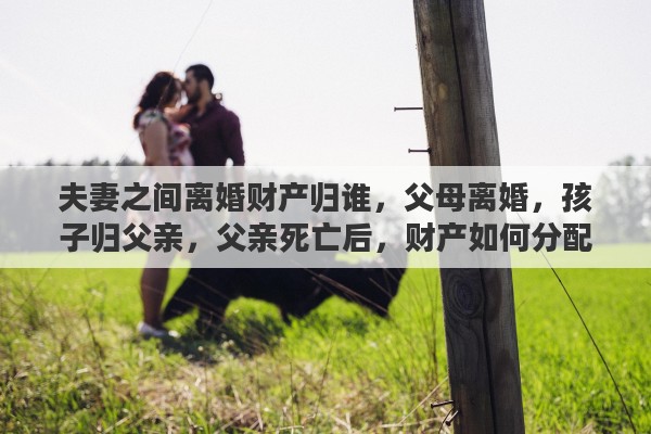 夫妻之间离婚财产归谁，父母离婚，孩子归父亲，父亲死亡后，财产如何分配
