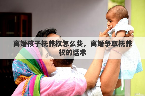 离婚孩子抚养权怎么费，离婚争取抚养权的话术