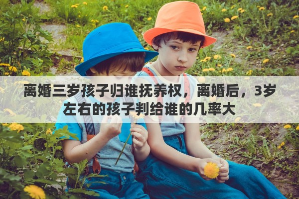 离婚三岁孩子归谁抚养权，离婚后，3岁左右的孩子判给谁的几率大