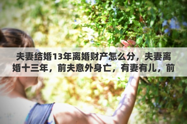 夫妻结婚13年离婚财产怎么分，夫妻离婚十三年，前夫意外身亡，有妻有儿，前妻有继承房产权吗