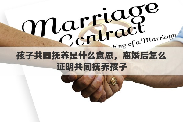 孩子共同抚养是什么意思，离婚后怎么证明共同抚养孩子