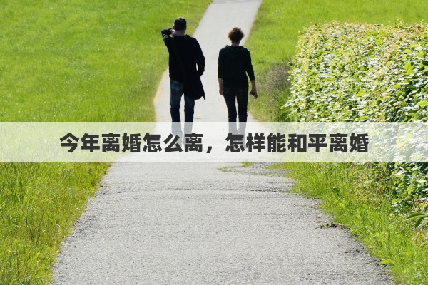 今年离婚怎么离，怎样能和平离婚