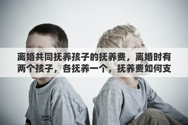 离婚共同抚养孩子的抚养费，离婚时有两个孩子，各抚养一个，抚养费如何支付
