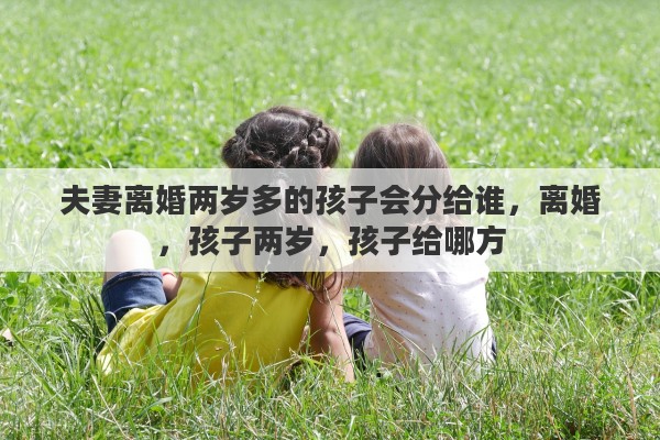 夫妻离婚两岁多的孩子会分给谁，离婚，孩子两岁，孩子给哪方