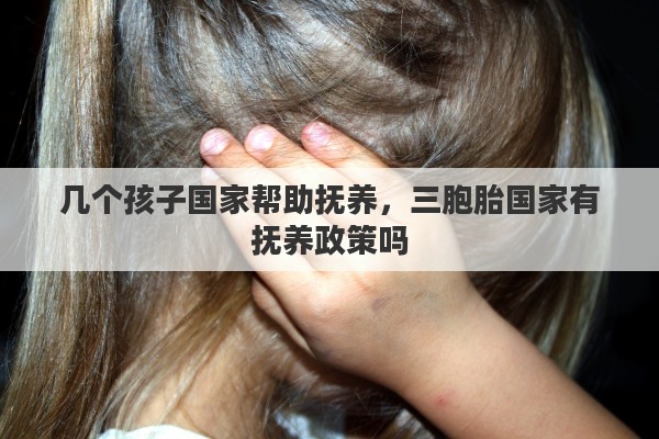 几个孩子国家帮助抚养，三胞胎国家有抚养政策吗
