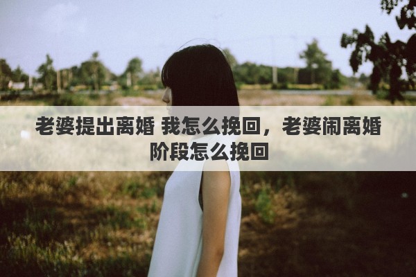 老婆提出离婚 我怎么挽回，老婆闹离婚阶段怎么挽回