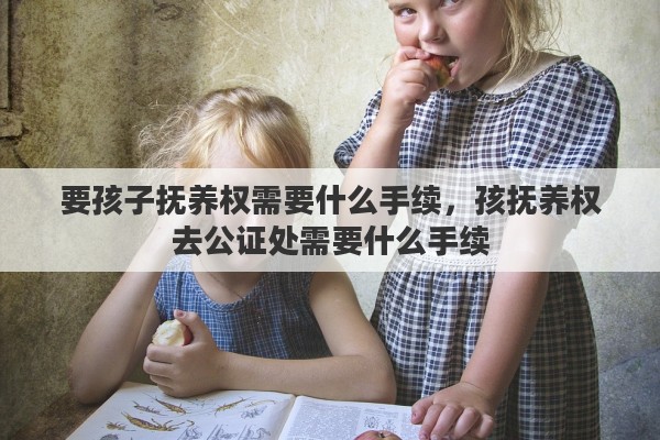 要孩子抚养权需要什么手续，孩抚养权去公证处需要什么手续