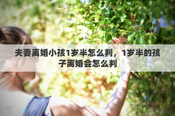 夫妻离婚小孩1岁半怎么判，1岁半的孩子离婚会怎么判