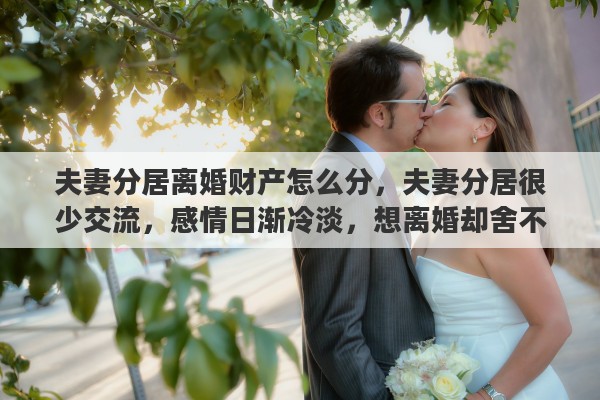 夫妻分居离婚财产怎么分，夫妻分居很少交流，感情日渐冷淡，想离婚却舍不得孩子，怎么办