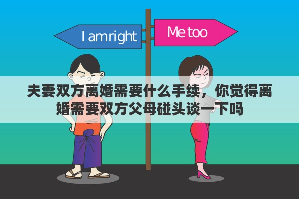 夫妻双方离婚需要什么手续，你觉得离婚需要双方父母碰头谈一下吗
