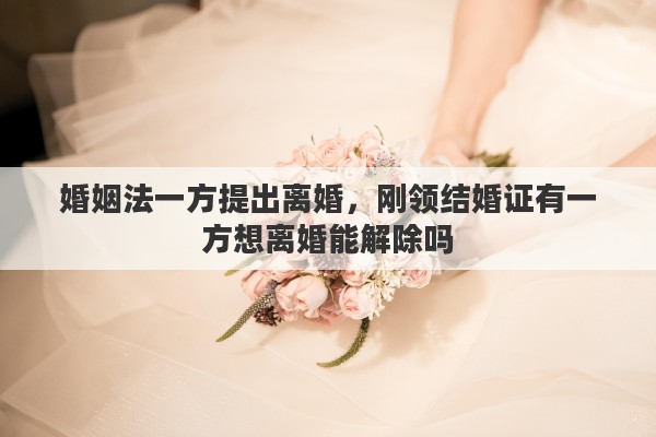 婚姻法一方提出离婚，刚领结婚证有一方想离婚能解除吗