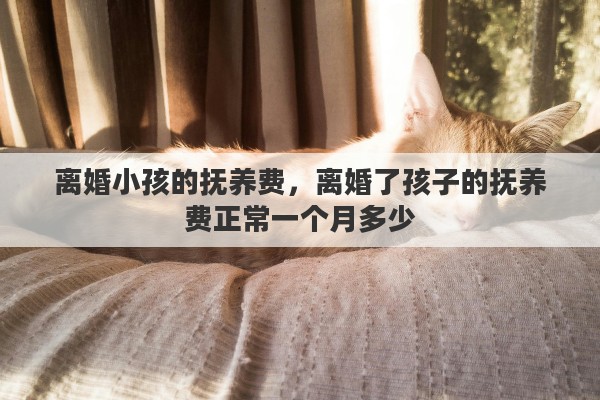 离婚小孩的抚养费，离婚了孩子的抚养费正常一个月多少