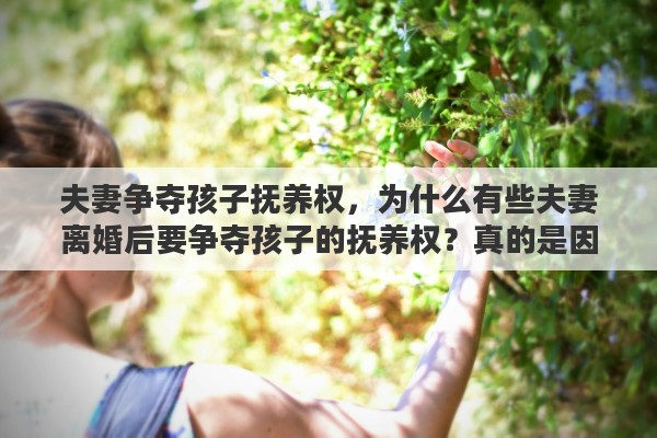 夫妻争夺孩子抚养权，为什么有些夫妻离婚后要争夺孩子的抚养权？真的是因为喜欢孩子吗