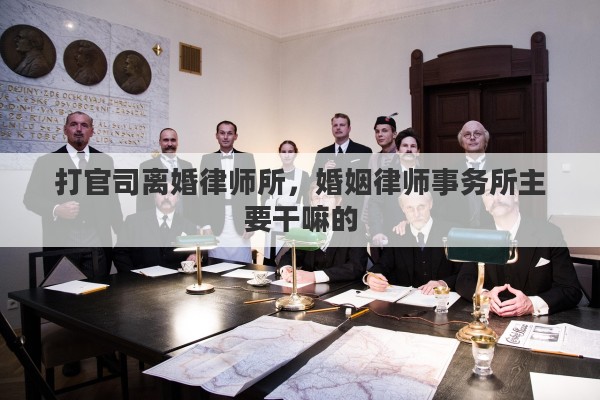 打官司离婚律师所，婚姻律师事务所主要干嘛的