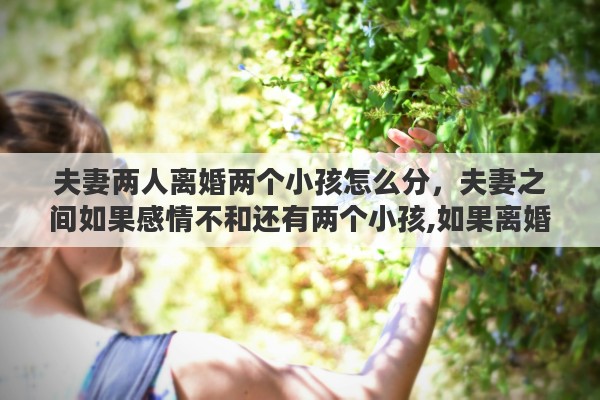 夫妻两人离婚两个小孩怎么分，夫妻之间如果感情不和还有两个小孩,如果离婚小孩是不是一人一个