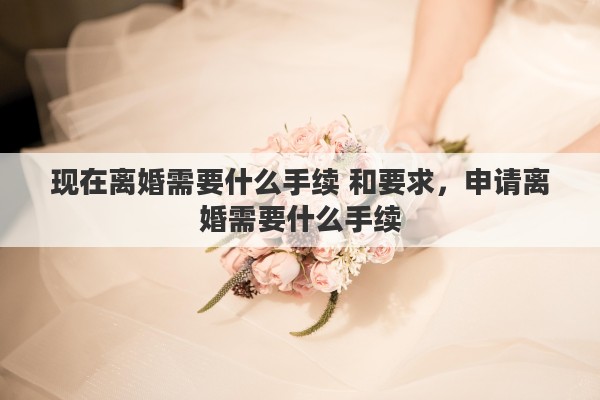 现在离婚需要什么手续 和要求，申请离婚需要什么手续