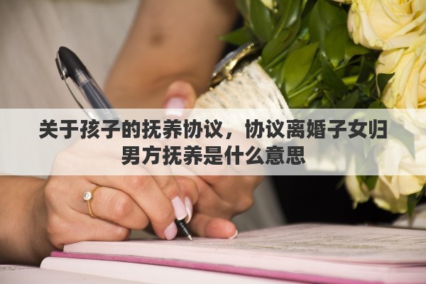 关于孩子的抚养协议，协议离婚子女归男方抚养是什么意思