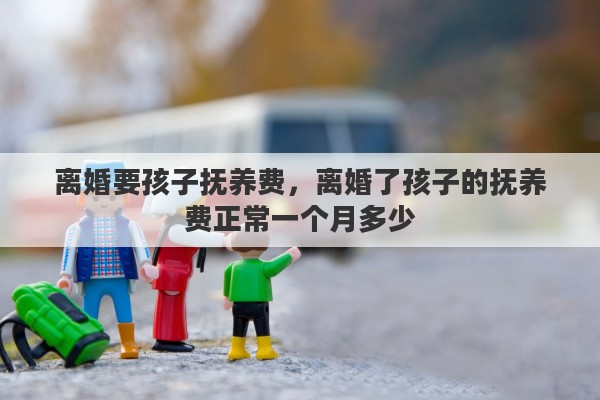离婚要孩子抚养费，离婚了孩子的抚养费正常一个月多少