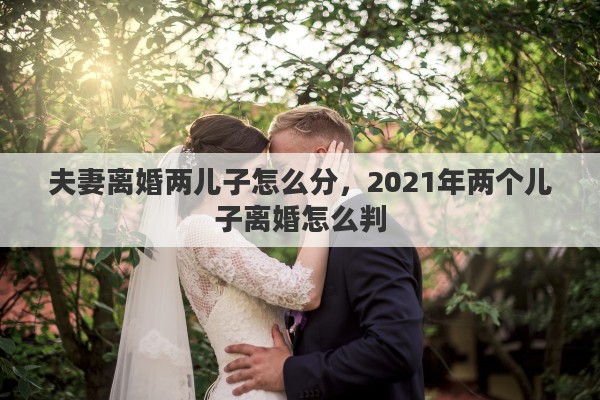 夫妻离婚两儿子怎么分，2021年两个儿子离婚怎么判