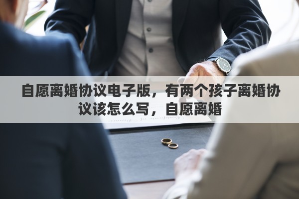 自愿离婚协议电子版，有两个孩子离婚协议该怎么写，自愿离婚